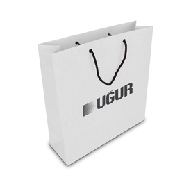 ALA-56 KÜÇÜK BOY KARTON ÇANTA(24x25.5x8,5 cm)